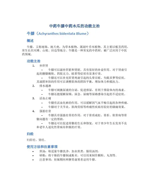 中药牛膝中药木瓜的功能主治