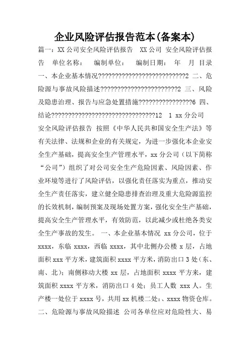 企业风险评估报告范本(备案本)