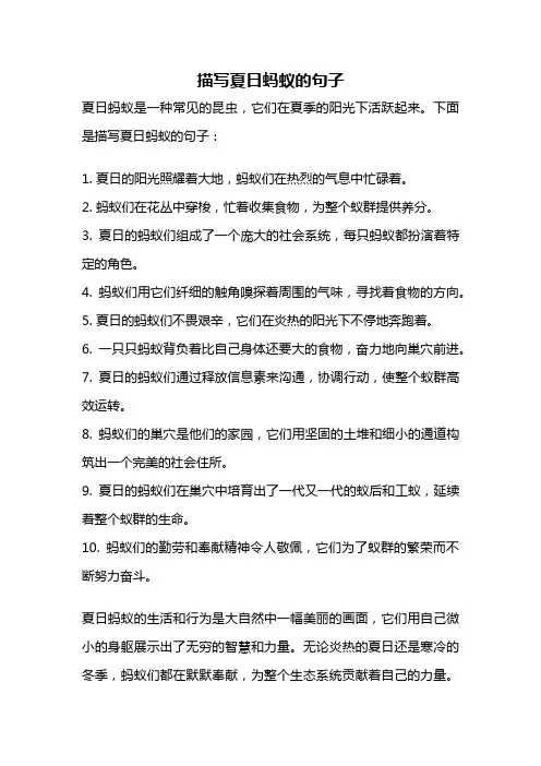 描写夏日蚂蚁的句子