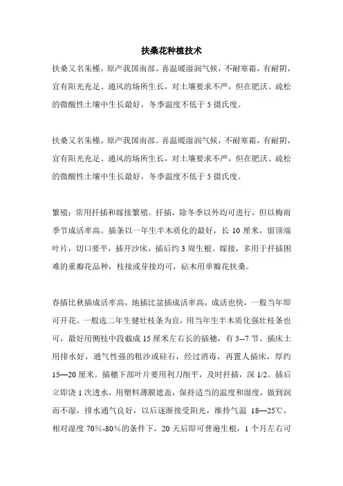扶桑花种植技术