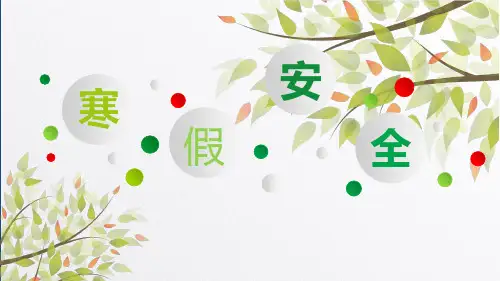 2020年大学生寒假安全主题班会