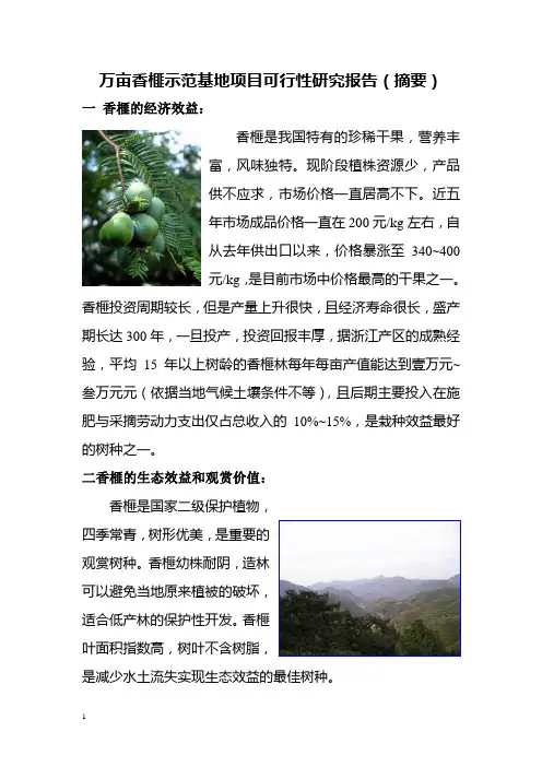 香榧价格 林宝香榧万亩香榧示范基地项目可行性研究报告