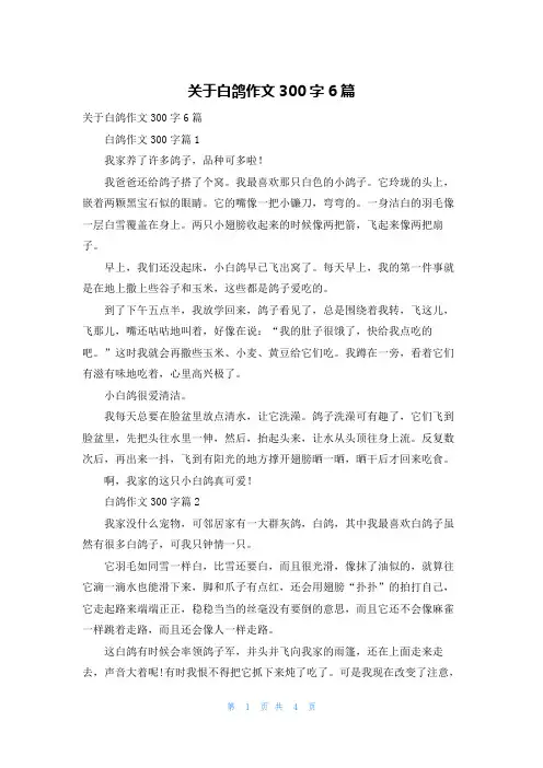 关于白鸽作文300字6篇