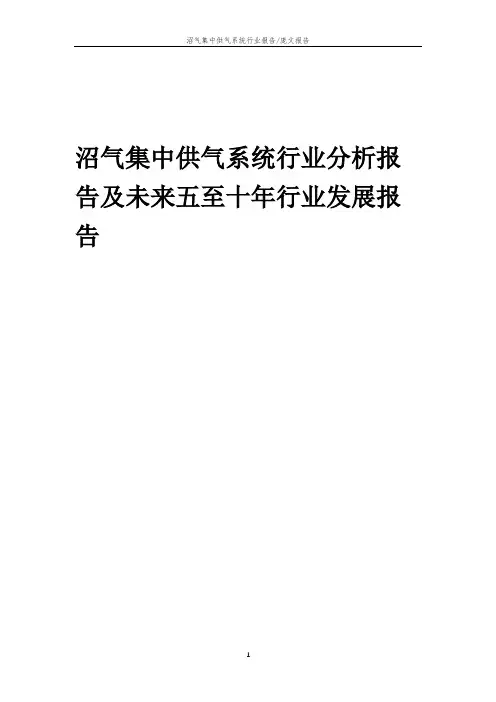 2023年沼气集中供气系统行业分析报告及未来五至十年行业发展报告