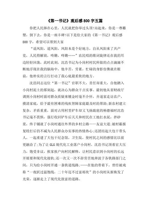 《第一书记》观后感800字五篇