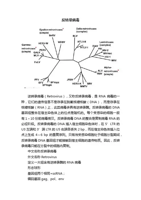 反转录病毒