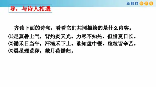 《芣苢》ppt课件20张 