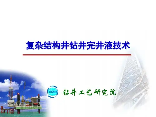 复杂结构井钻井完井液技术