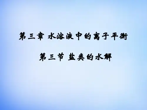 高中化学 3.3《盐类的水解》课件1 新人教版选修4