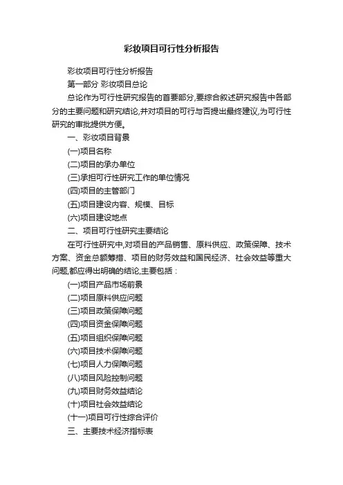 彩妆项目可行性分析报告