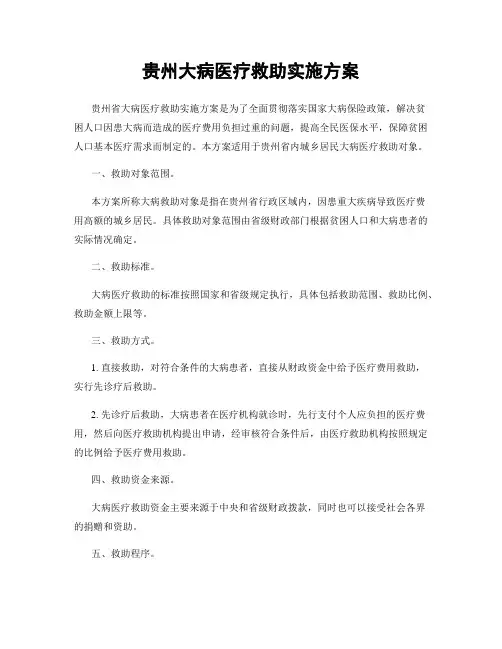 贵州大病医疗救助实施方案