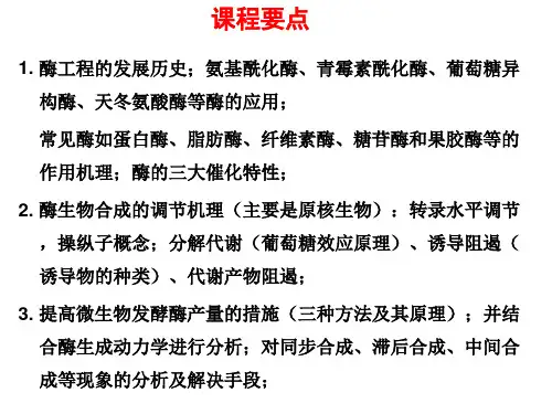酶工程课程复习要点