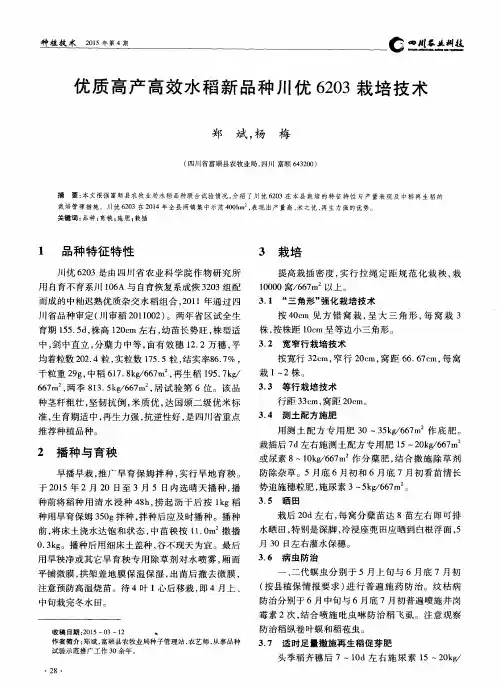 优质高产高效水稻新品种川优6203栽培技术
