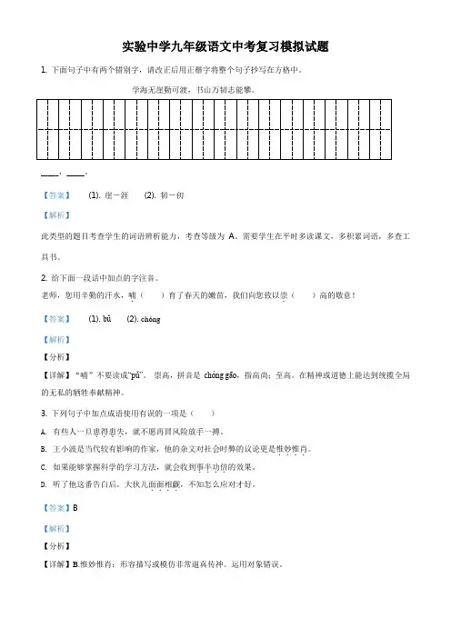 精品解析：湖北省枣阳市实验中学2019届九年级中考复习模拟测试语文试题(解析版)