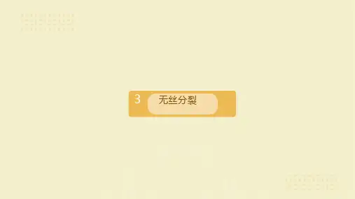 6.1 无丝分裂和观察细胞有丝分裂实验课件 高一生物人教版必修一