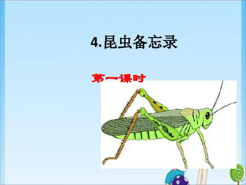 三年级：4昆虫备忘录(共16张PPT) 人教教育课件
