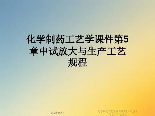 化学制药工艺学课件第5章中试放大与生产工艺规程