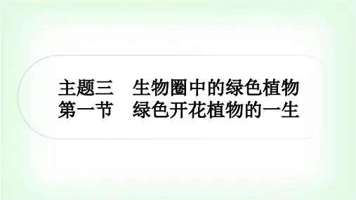 中考生物复习主题三生物圈中的绿色植物第一节绿色开花植物的一生课件