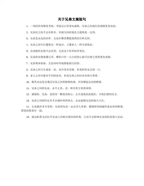 关于兄弟文案短句