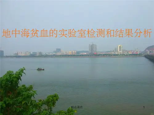地中海贫血基因检测和结果分析