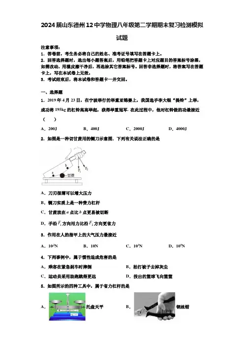 2024届山东德州12中学物理八年级第二学期期末复习检测模拟试题含解析