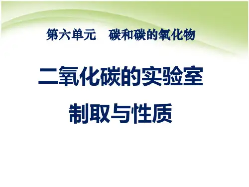 人教版九年级化学上册实验活动2二氧化碳的实验室制取与性质课件