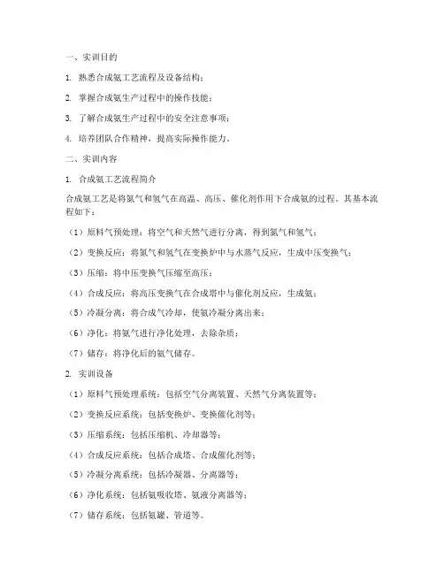 合成氨工艺的实训报告