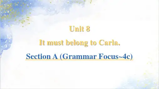 Unit 8 Section A (Grammar Focus~4c)课件 英语人教版九年级全一册