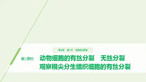 高中生物第6章细胞的生命历程第1节第2课时动物细胞的有丝分裂无丝分裂观察根尖分生组织细胞的有丝分裂课件