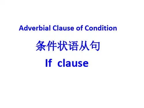 Conditionals(虚拟条件句基础)(配北大教材)(1)