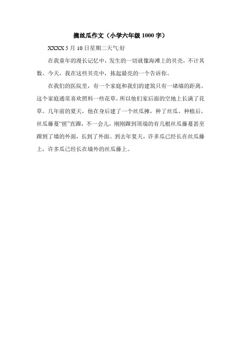 摘丝瓜作文(小学六年级1000字).doc