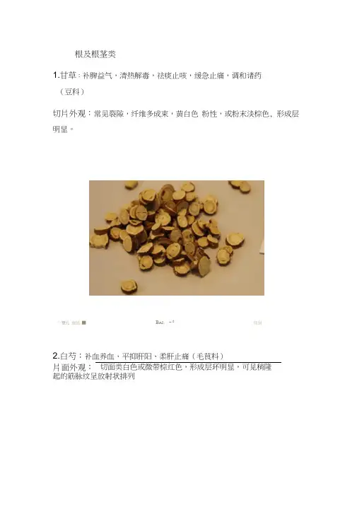 中药饮片及名称