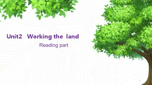 高中英语人教新课标必修四-Unit2 Unit2   Working the  land —Reading-课件(共19张PPT)