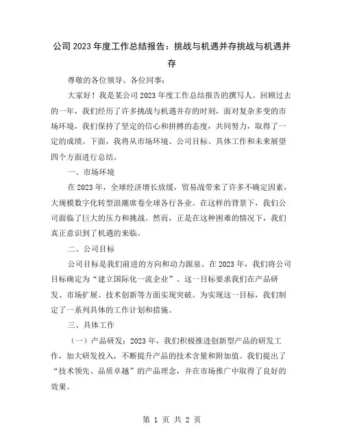 公司2023年度工作总结报告：挑战与机遇并存