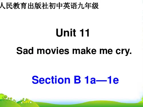 人教版英语九全Unit 11 Section B(1a-1e) 课件(共28张PPT)