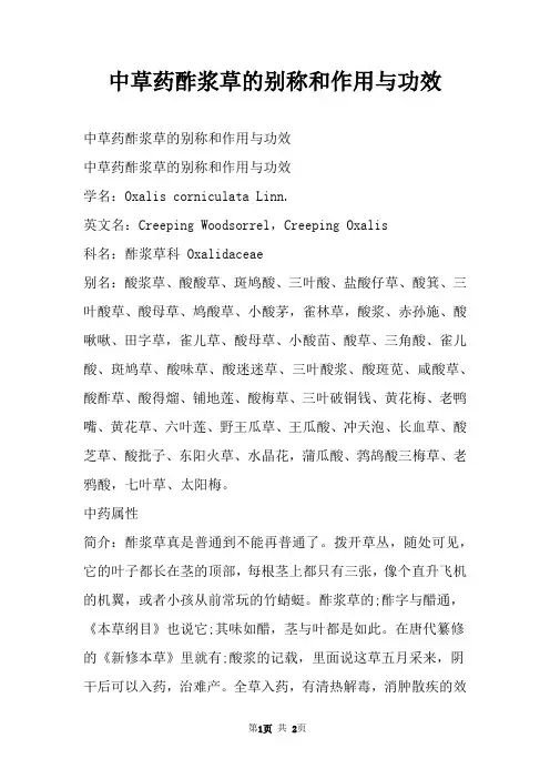 中草药酢浆草的别称和作用与功效