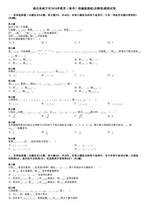 湖北省咸宁市2024年数学(高考)统编版摸底(自测卷)模拟试卷