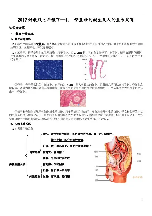 2019浙教版七年级下第一章1.1-1.2代代相传的生命与人的发育知识点