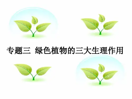 人教版初中生物七年级上册复习课：专题三 绿色植物的三大生理作用  课件(共31张PPT)