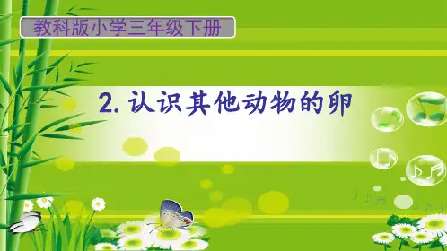 教科版三年级下册科学《认识其他动物的卵》教学课件ppt