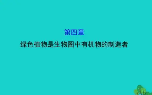 七年级生物上册3.4绿色植物是生物圈中有机物的制造者课件(新版)新人教版