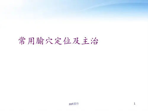 常用腧穴定位及主治  ppt课件