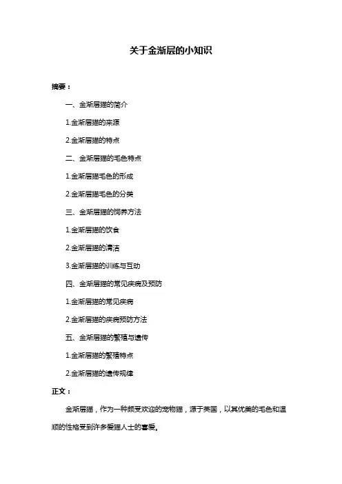 关于金渐层的小知识