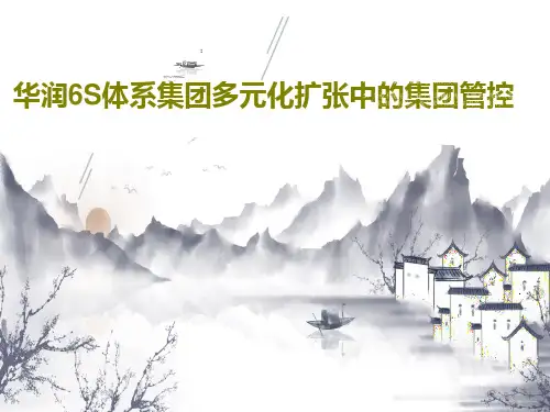 华润6S体系集团多元化扩张中的集团管控49页PPT
