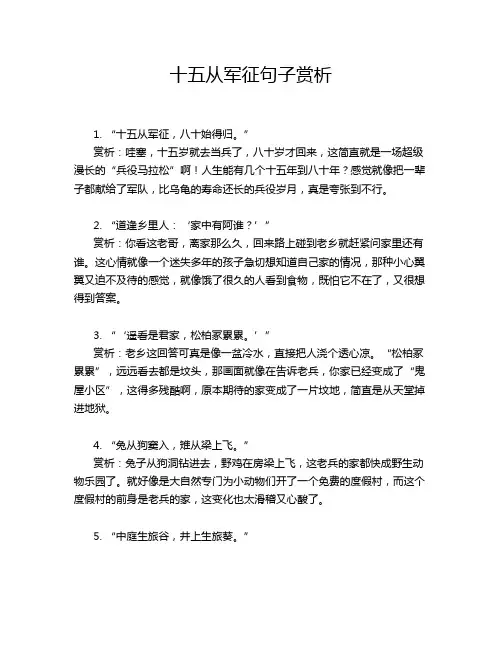 十五从军征句子赏析