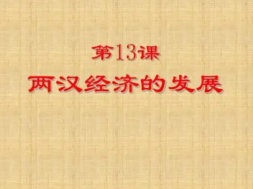 2017年 七年级历史上册 第13课 两汉经济的发展课件 新人教版