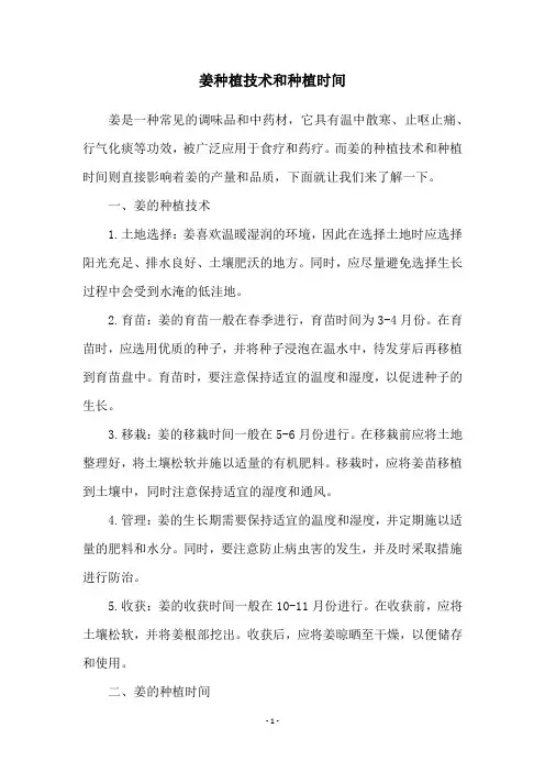 姜种植技术和种植时间