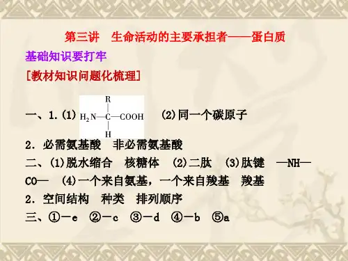 【三维设计】高考生物一轮复习 第一单元 第三讲 生命活动的主要承担者 蛋白质课件 新人教版必修1