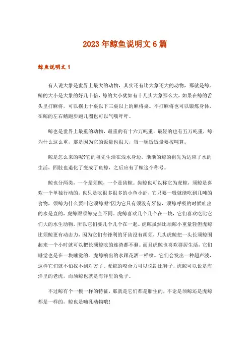 2023年鲸鱼说明文6篇
