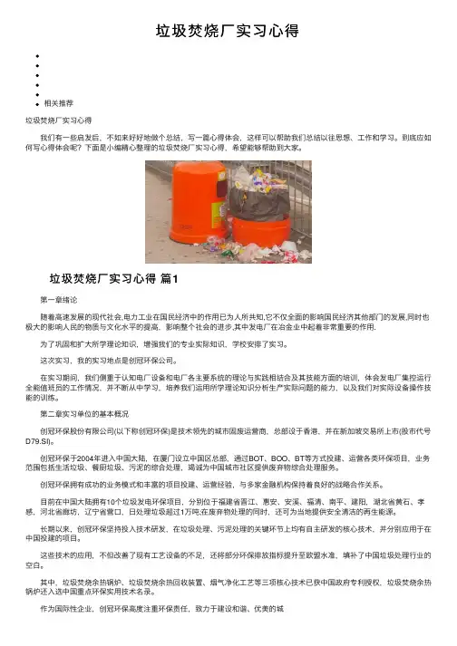 垃圾焚烧厂实习心得
